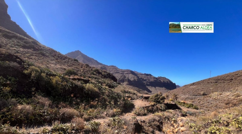 Las Palmas - Tasartico - 14000m2