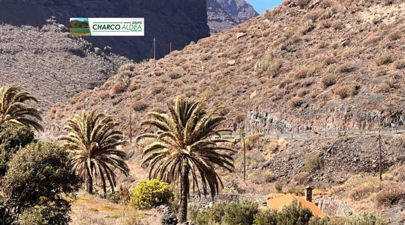 Las Palmas - Tasartico - 14000m2