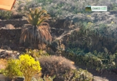 Rural estate for sale in La Aldea de San Nicolás ref: TR184130 photo
