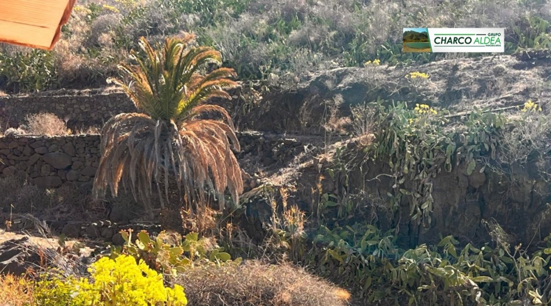 Las Palmas - Tasartico - 14000m2