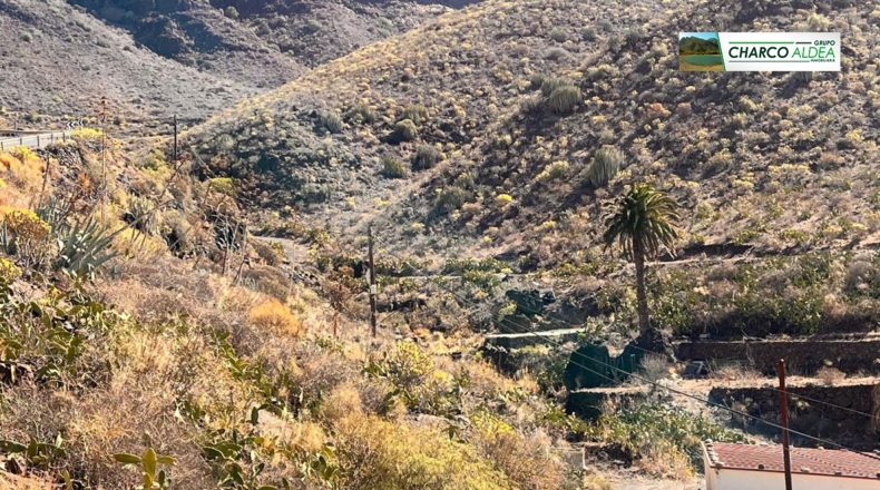 Las Palmas - Tasartico - 14000m2