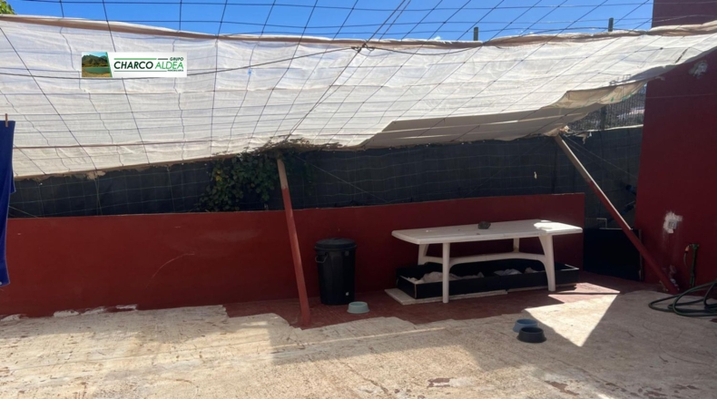 Las Palmas - Molino de Viento - 1852m2