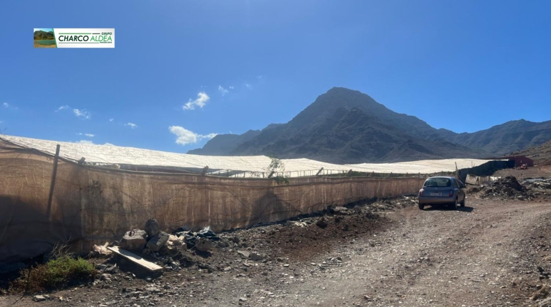 Las Palmas - Molino de Viento - 1852m2