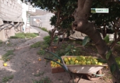 Finca rústica en venda a La Aldea de San Nicolás ref.: TR274635 foto