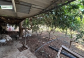 Finca rústica en venda a La Aldea de San Nicolás ref.: TR274635 foto