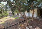 Finca rústica en venda a La Aldea de San Nicolás ref.: TR274635 foto