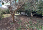 Finca rústica en venda a La Aldea de San Nicolás ref.: TR274635 foto