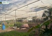 Finca rústica en venda a La Aldea de San Nicolás ref.: TR274634 foto