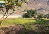 Finca rústica en venda a La Aldea de San Nicolás ref.: TR274634 foto