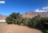 Finca rústica en venda a La Aldea de San Nicolás ref.: TR274634 foto