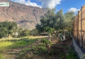 Finca rústica en venda a La Aldea de San Nicolás ref.: TR274634 foto