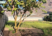Finca rústica en venda a La Aldea de San Nicolás ref.: TR274634 foto