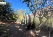 Finca rústica en venda a La Aldea de San Nicolás ref.: TR274634 foto