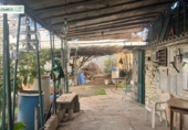 Finca rústica en venda a La Aldea de San Nicolás ref.: TR274634 foto