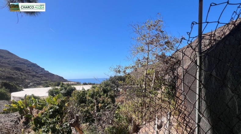 Las Palmas - La Aldea de San Nicolás - 7000m2