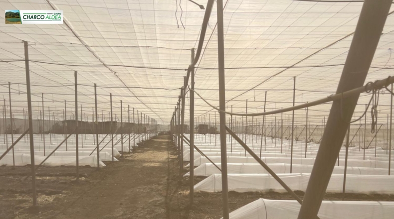 Las Palmas - La Aldea de San Nicolás - 7000m2