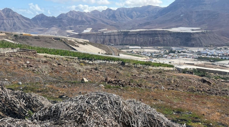 Лас-Пальмас - La Aldea de San Nicolás - 8000m2