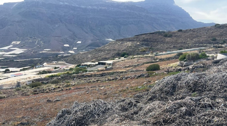 Лас-Пальмас - La Aldea de San Nicolás - 8000m2