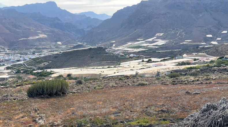 Лас-Пальмас - La Aldea de San Nicolás - 8000m2