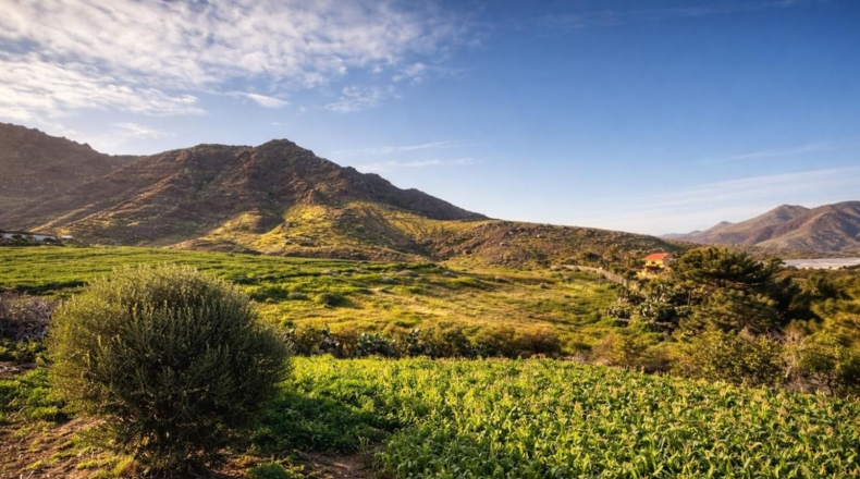 Las Palmas - La Aldea de San Nicolás - 170m2