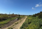 Sòl urbà en venda a Chiclana de la Frontera ref.: TR252255 foto