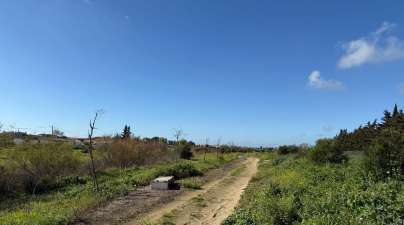 Cádiz - Chiclana de la Frontera - 1000m2