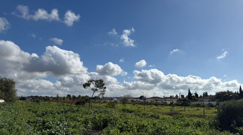 Cádiz - Chiclana de la Frontera - 1000m2
