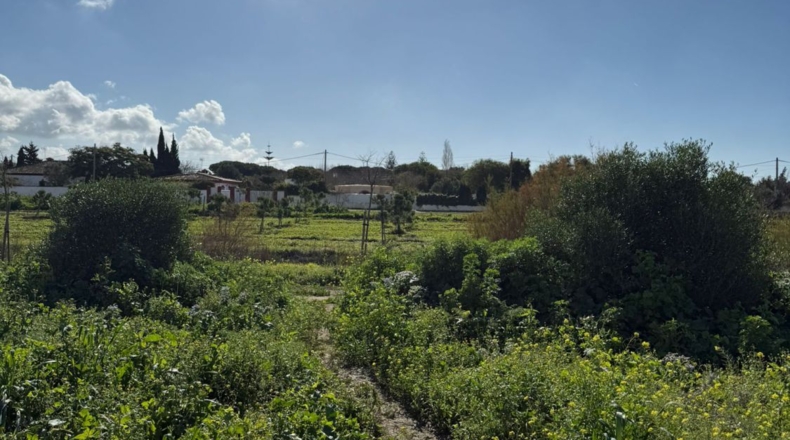 Cádiz - Chiclana de la Frontera - 1000m2
