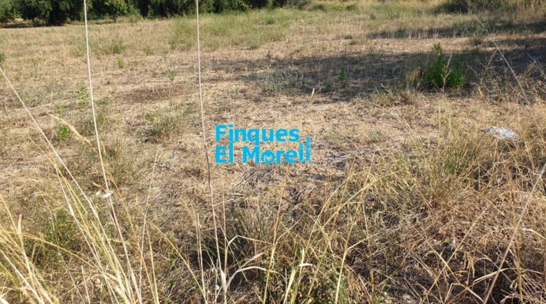 Tarragona - Vilallonga del Camp - 8556m2