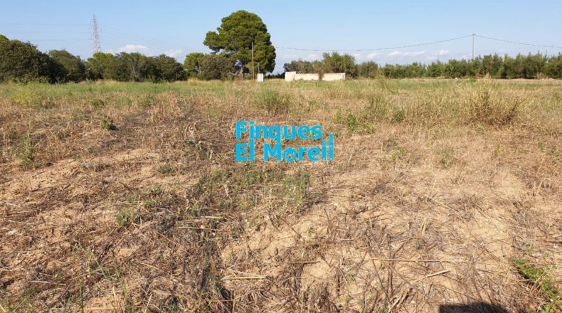 Tarragona - Vilallonga del Camp - 8556m2