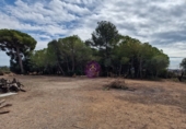 Masia amb terreny en lloguer a Albinyana ref.: TR277801 foto