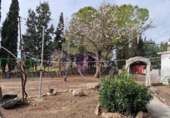 Masia amb terreny en lloguer a Albinyana ref.: TR277801 foto