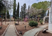 Masia amb terreny en lloguer a Albinyana ref.: TR277801 foto