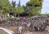 Masia amb terreny en lloguer a Albinyana ref.: TR277801 foto