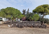 Masia amb terreny en lloguer a Albinyana ref.: TR277801 foto