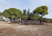 Masia amb terreny en lloguer a Albinyana ref.: TR277801 foto