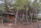 Masia amb terreny en lloguer a Albinyana ref.: TR277801 foto