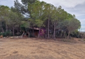 Masia amb terreny en lloguer a Albinyana ref.: TR277801 foto