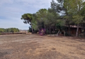 Masia amb terreny en lloguer a Albinyana ref.: TR277801 foto