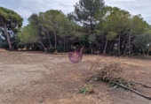 Masia amb terreny en lloguer a Albinyana ref.: TR277801 foto