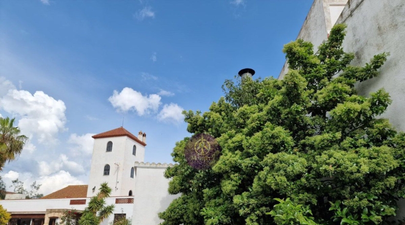 Tarragona - la Secuita - 3100m2