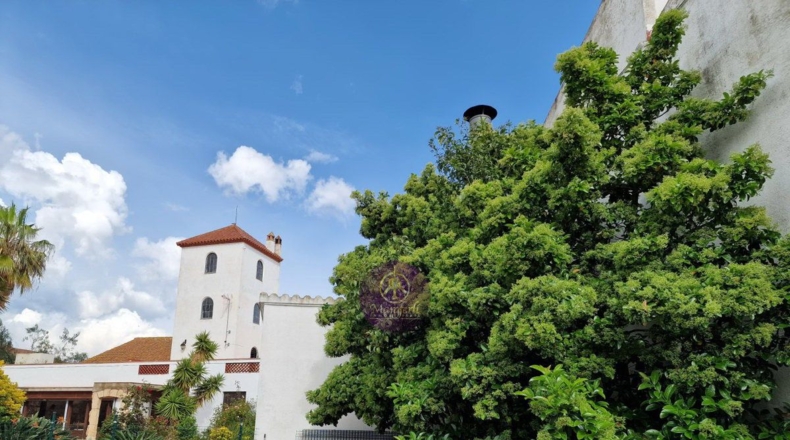 Tarragona - la Secuita - 3100m2