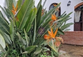 Sòl urbà en venda a la España, la Secuita, ref.: TR252257 foto