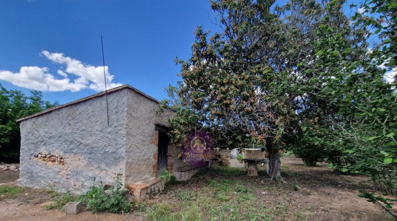 Tarragona - Vilallonga del Camp - 10000m2