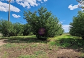 Finca rústica en venta en la España, Vilallonga del Camp, ref: TR210354 foto