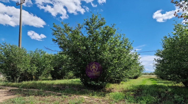 Tarragona - Vilallonga del Camp - 10000m2