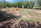 Finca rústica en venta en la España, Vilallonga del Camp, ref: TR210354 foto