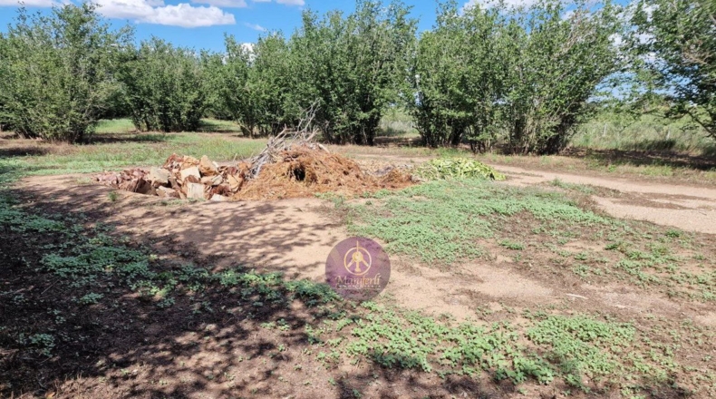Tarragona - Vilallonga del Camp - 10000m2