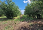 Finca rústica en venta en la España, Vilallonga del Camp, ref: TR210354 foto