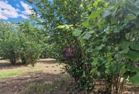 Foto 14
